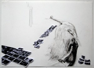 Untitled, 57 x 41 x 3 cm, pencil, indian ink, photocopy, 2008